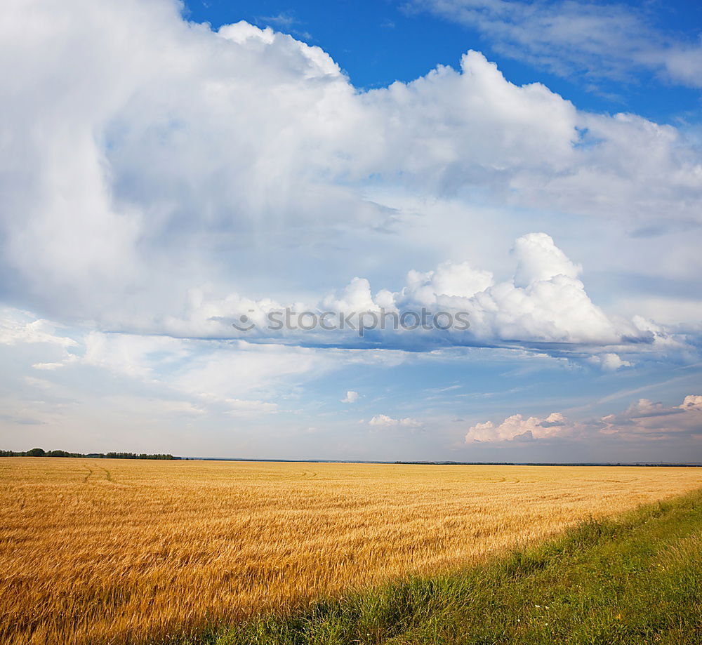 Similar – Foto Bild ferngespräch Umwelt Natur