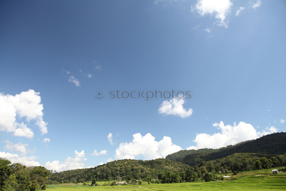 Similar – Image, Stock Photo Bowling green English