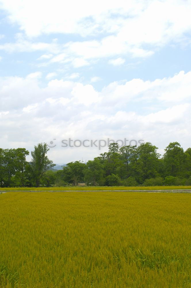 Similar – Image, Stock Photo ser un campo muy amplio