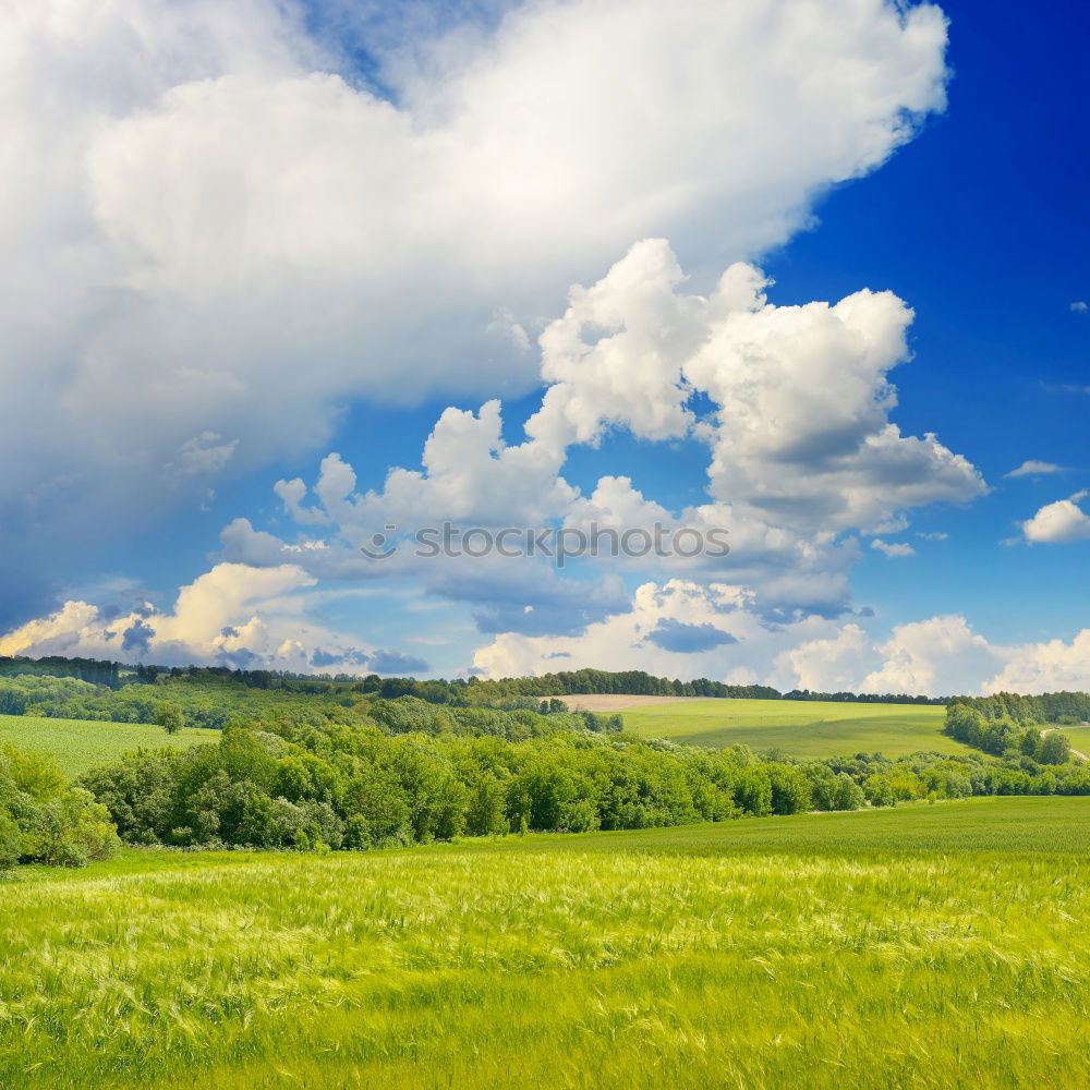 Similar – Image, Stock Photo meadow in allgau Style