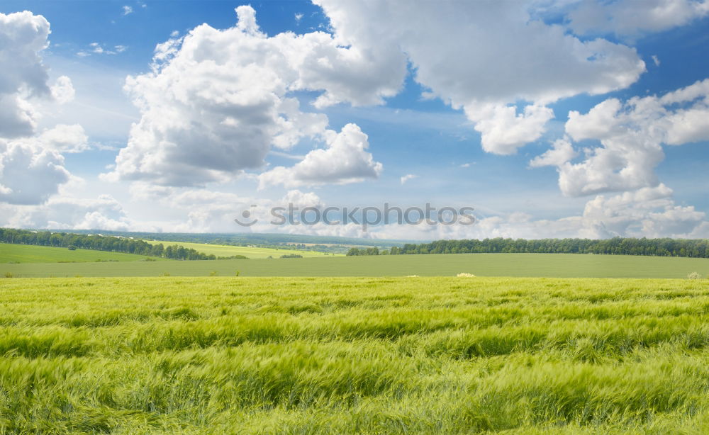 Similar – cheerful to cloudy Meadow