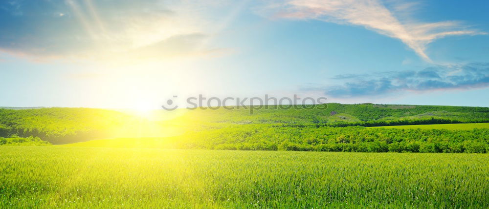 Similar – Wiese–3fachbelichtet