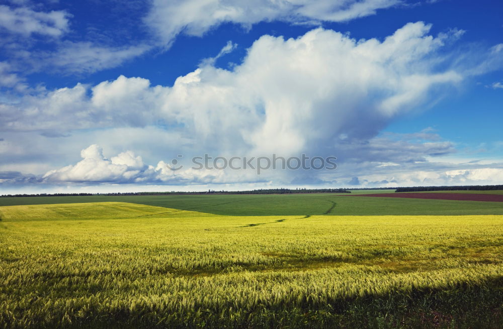 Similar – Image, Stock Photo Yellow love