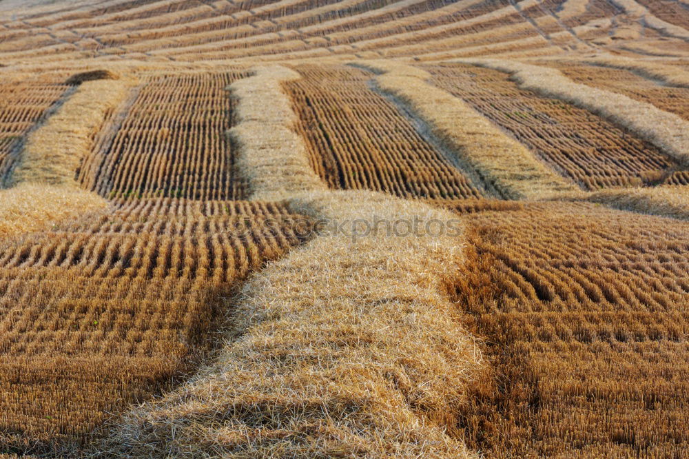 Similar – Foto Bild Ackerkult Landwirtschaft