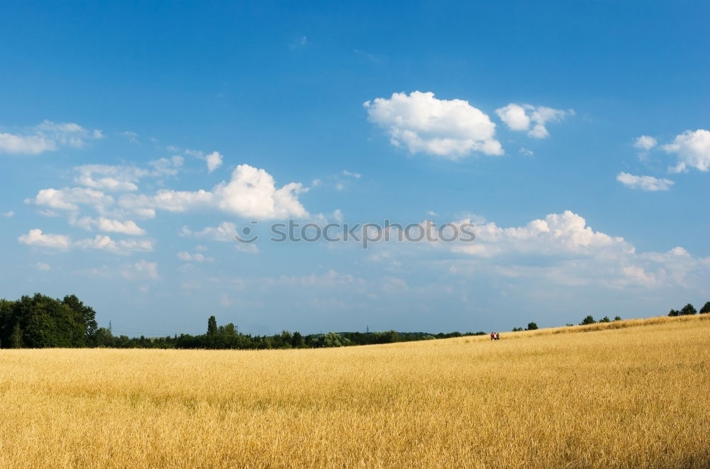 Similar – Weiß-blau-grün-gelb Umwelt