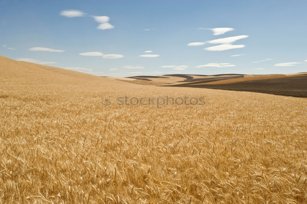 Similar – corntwister Tornado Field