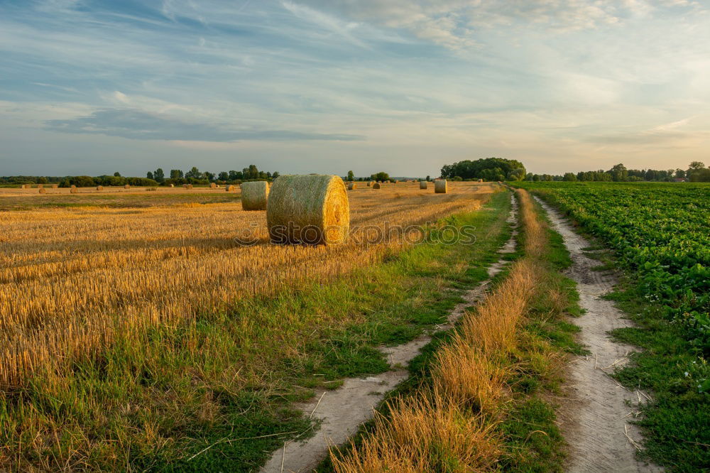 Similar – Foto Bild Spätsommer Umwelt Natur