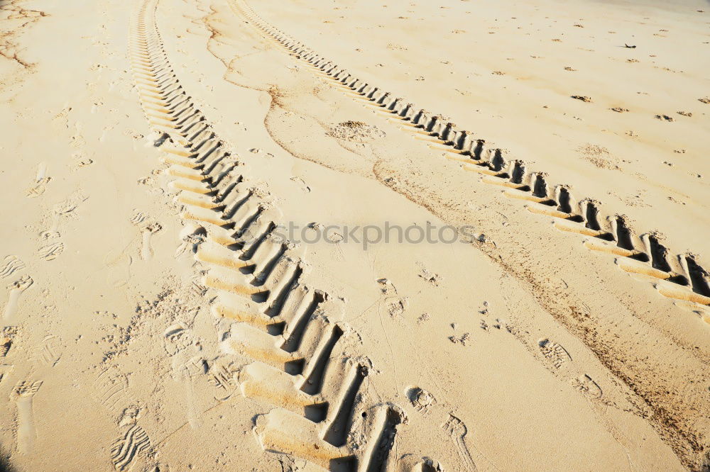 Similar – Katwijk aan Zee