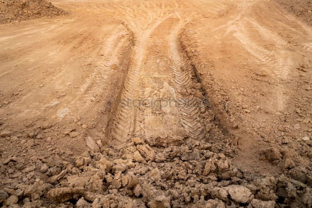 Foto Bild Meine Spuren im Sand