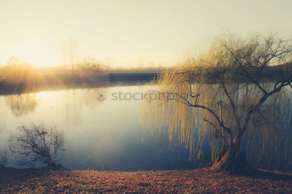 Similar – Südsee Umwelt Natur