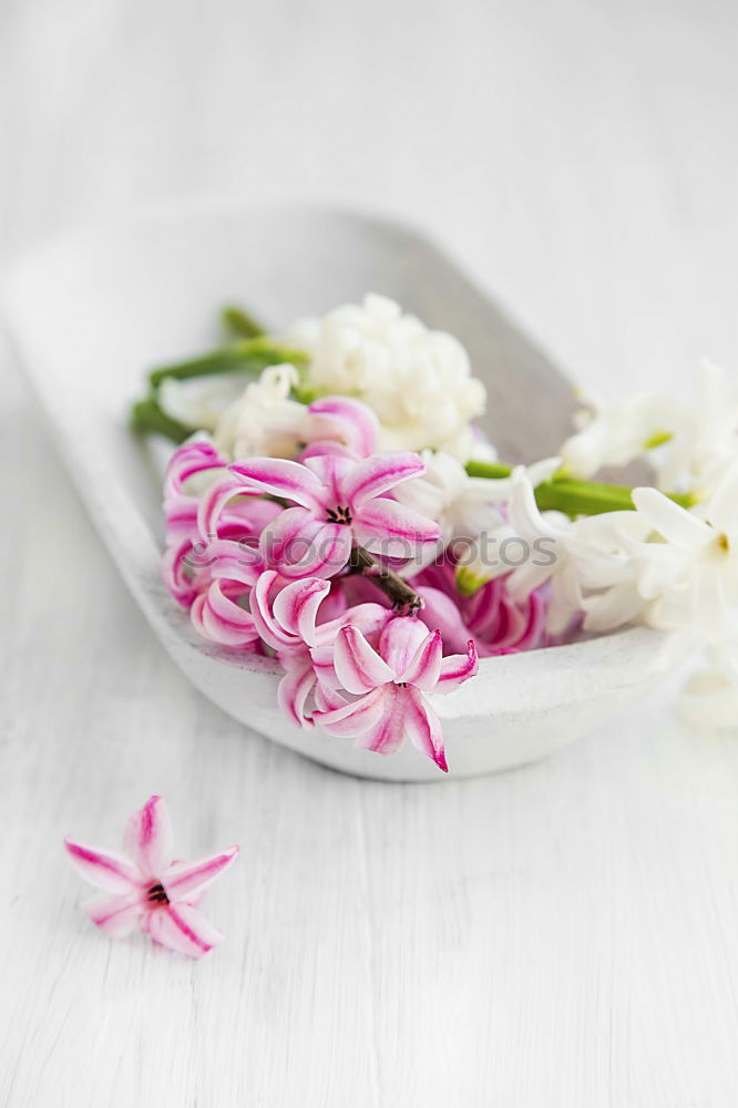 Similar – Image, Stock Photo Freshly cut peony flowers