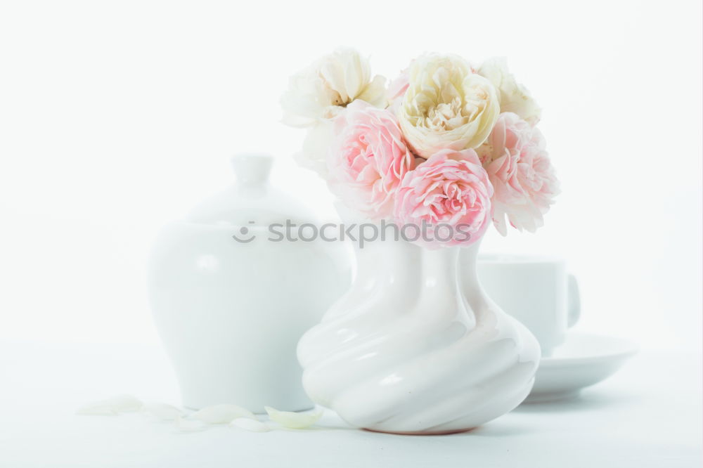 Similar – pink hydrangea flowers with watering can on wooden table