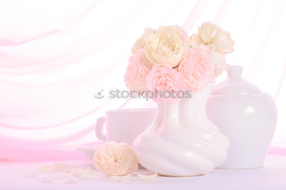 Similar – Image, Stock Photo a magnolia for Uncle Werner