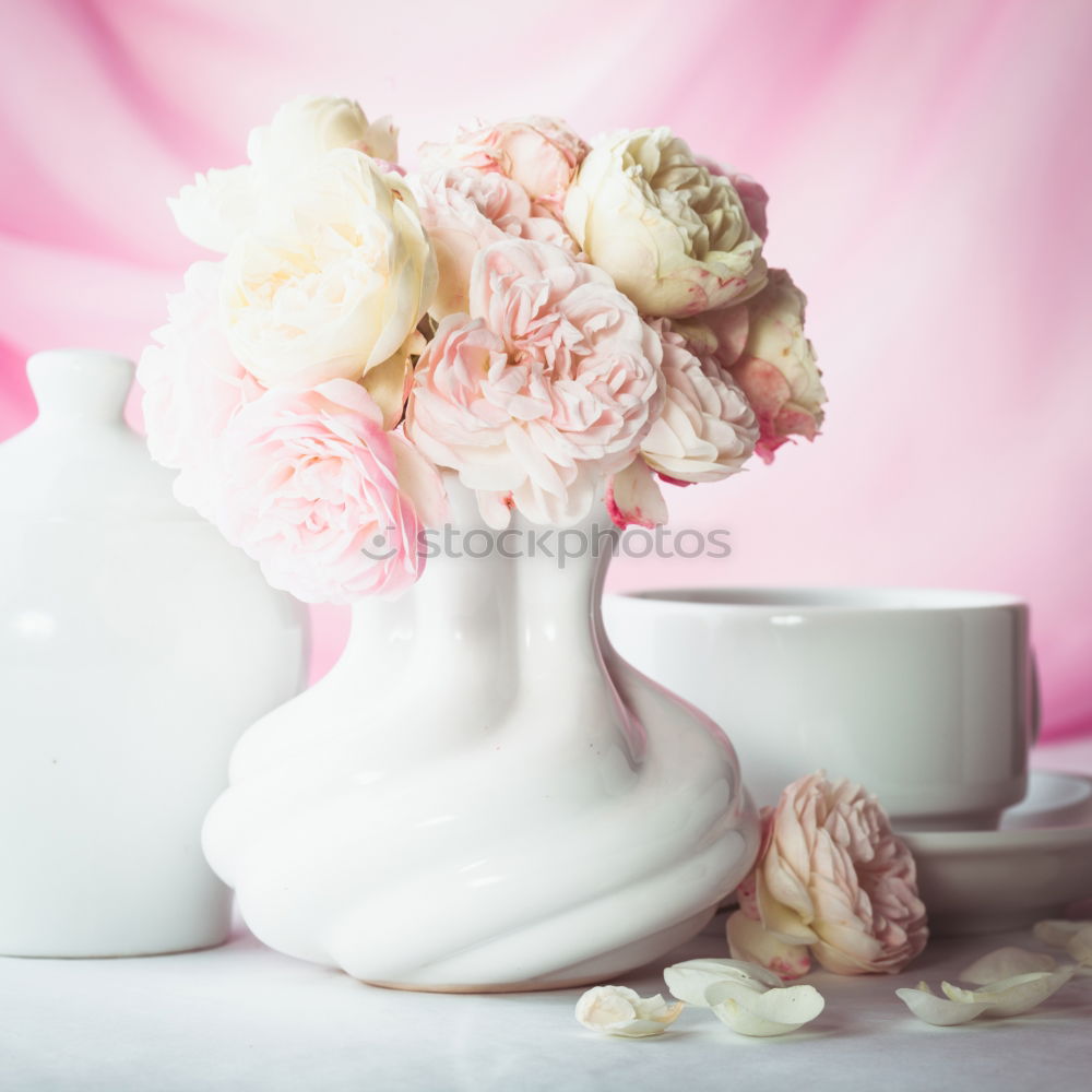 Similar – Image, Stock Photo Freshly cut peony flowers