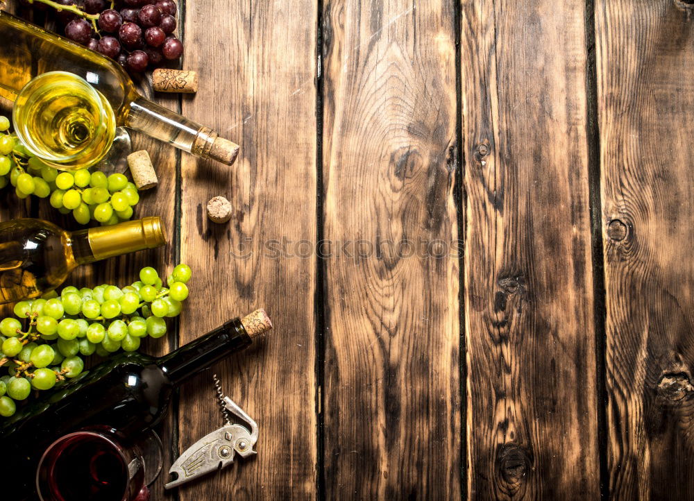 Similar – Image, Stock Photo Main ingredients for wine