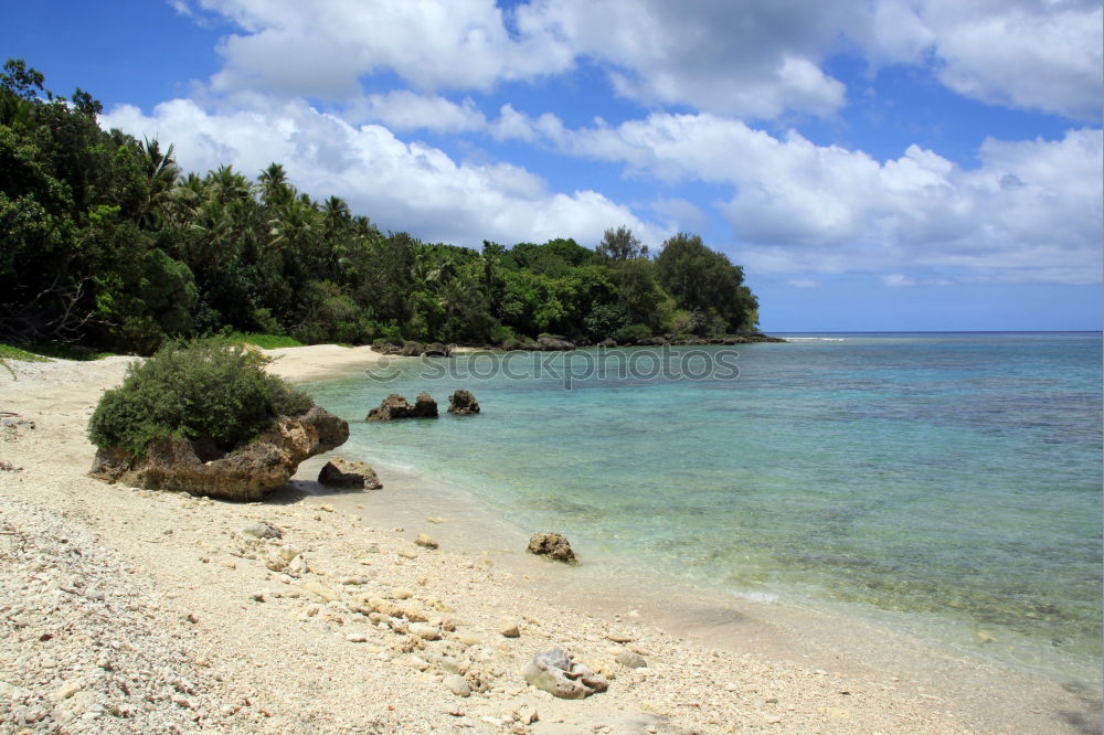 Similar – Beach in New Zealand