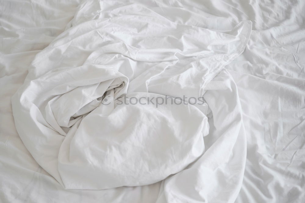 Similar – Image, Stock Photo Good morning Bed Bedroom