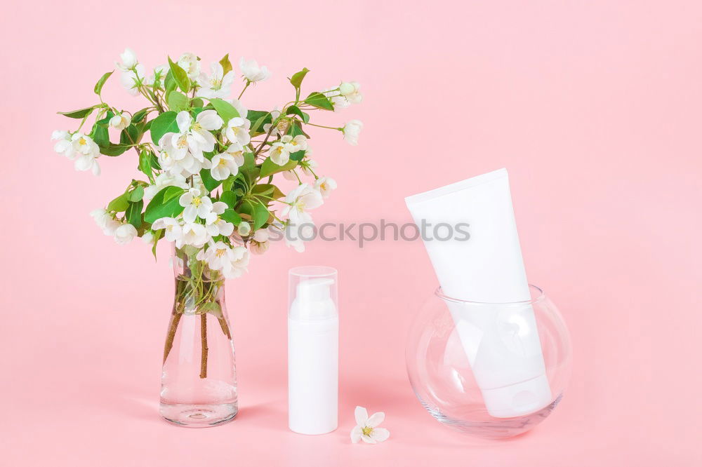 Similar – Image, Stock Photo Flat lay of beauty skincare products for mock up