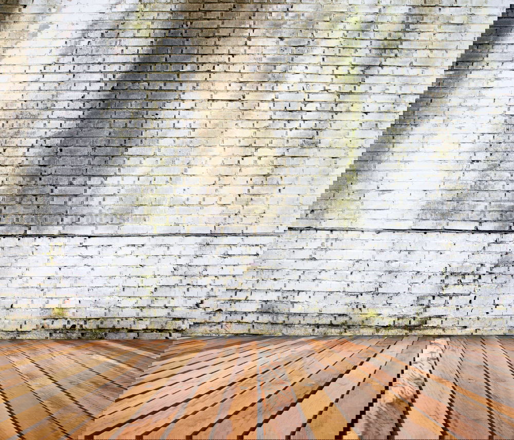 Similar – Foto Bild Fluchttür für LOHAS