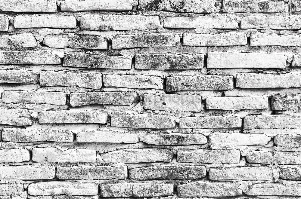 brick wall Brick