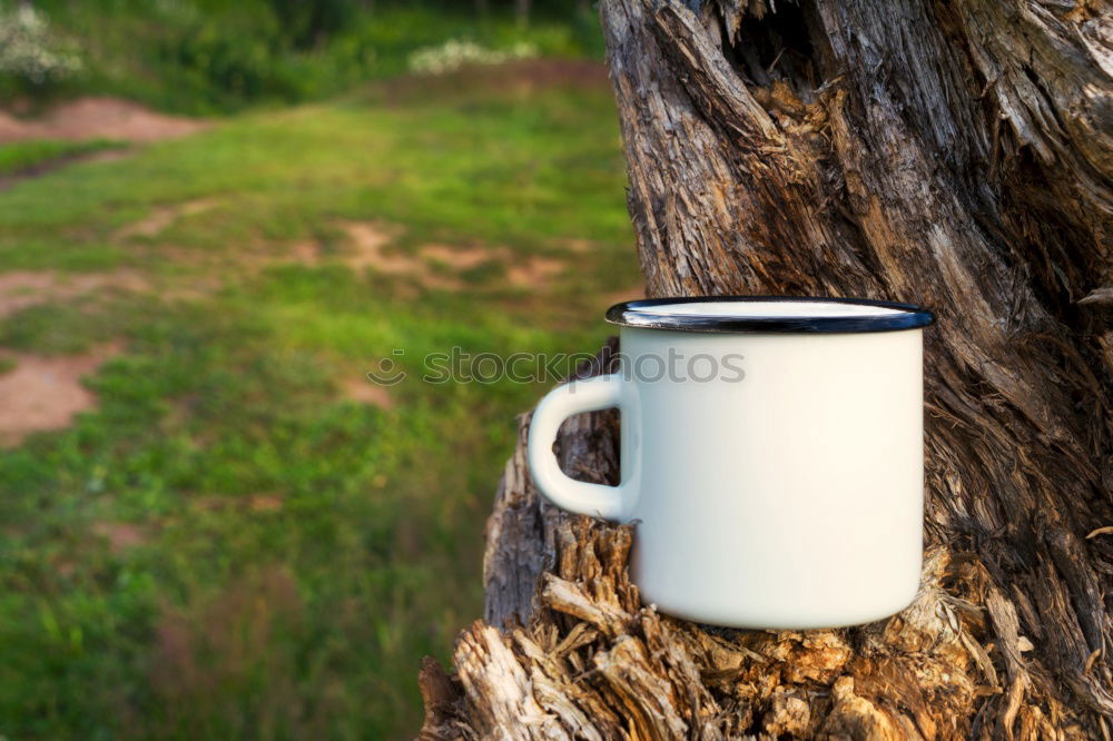 Similar – Image, Stock Photo The adventure begins: with a cup of coffee