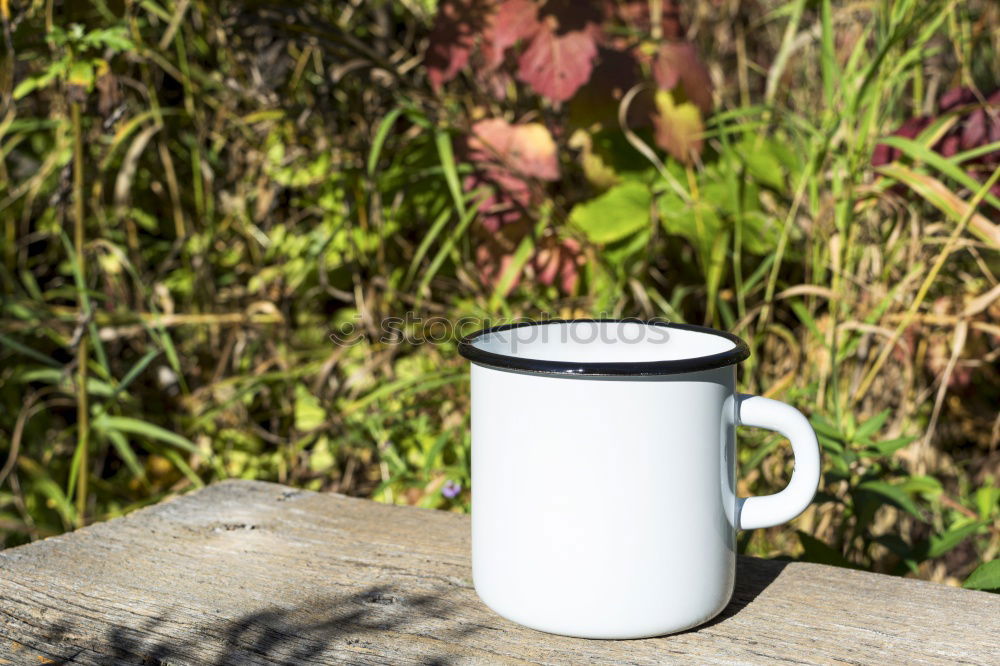 Image, Stock Photo The adventure begins: with a cup of coffee