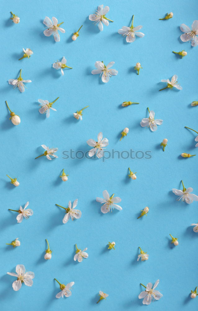 Image, Stock Photo torn smiley wrapping paper