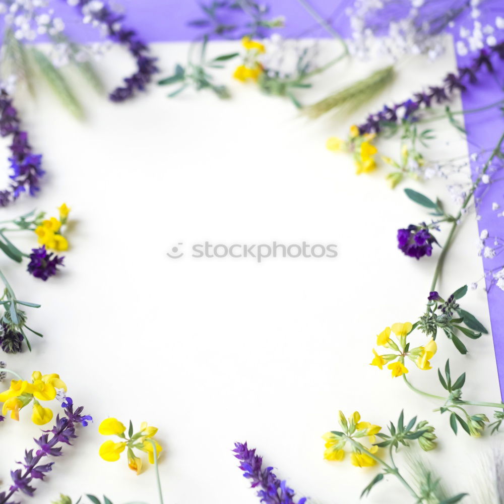 Blue plates with knife, fork and spring flowers