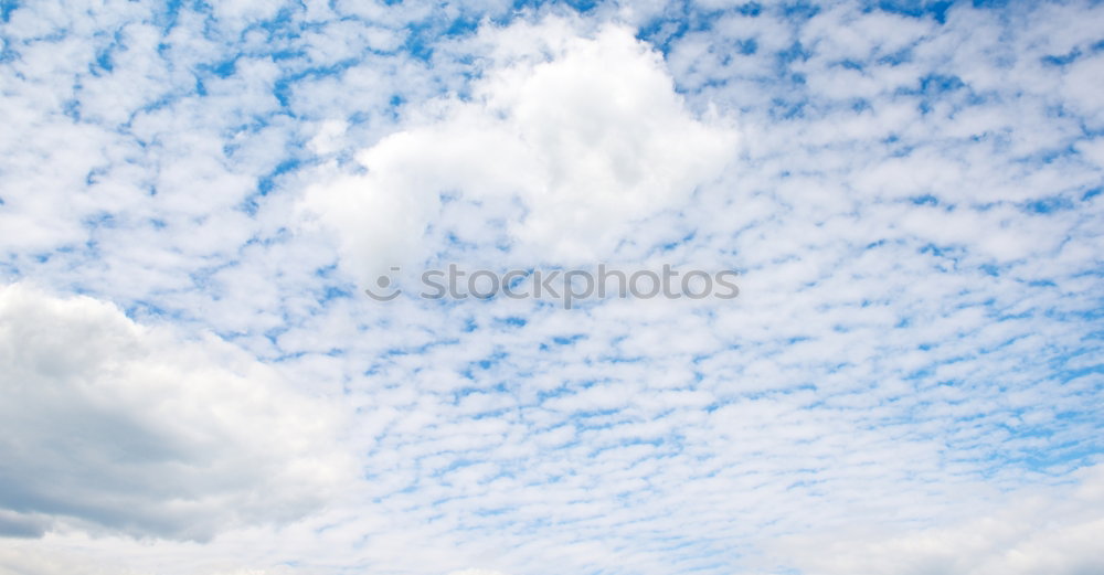 Similar – Image, Stock Photo All Inclusive. Culture
