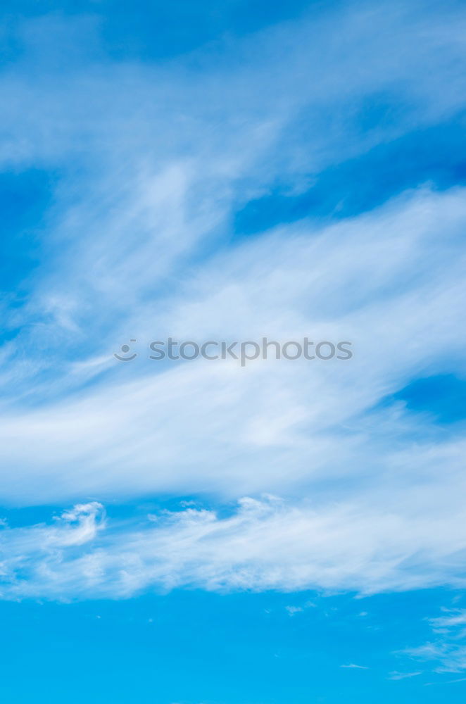 Similar – Image, Stock Photo Break at the mountain in the meadow