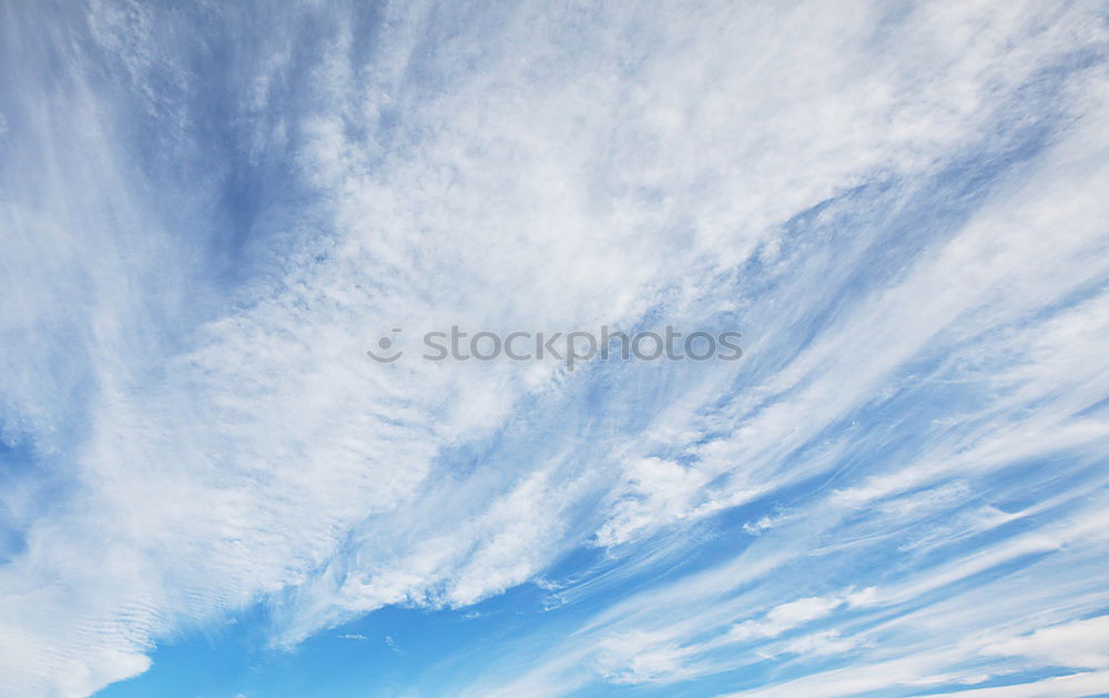 Similar – Image, Stock Photo Half and half Wood Clouds