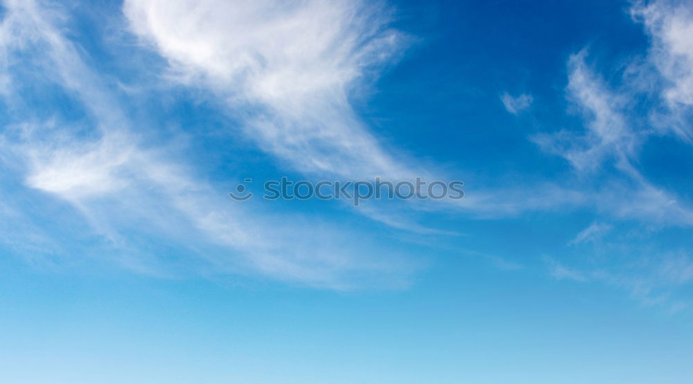 Similar – Image, Stock Photo smoke sign Bottle