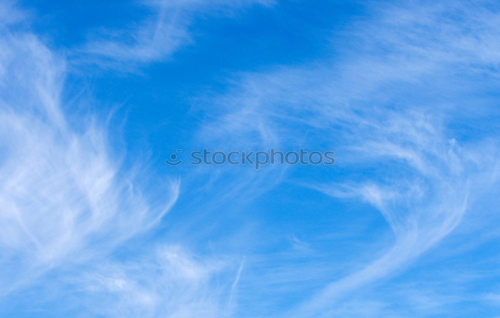 Similar – Image, Stock Photo TREE CROWN Relaxation