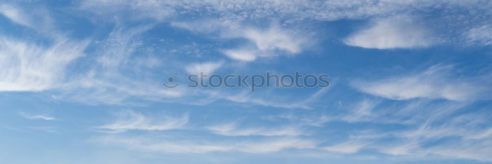 Similar – Foto Bild Palmenhimmel Blatt Baum