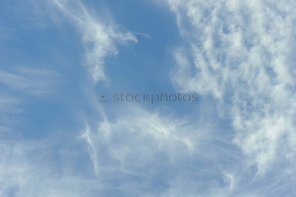 Similar – Foto Bild Palmenhimmel Blatt Baum