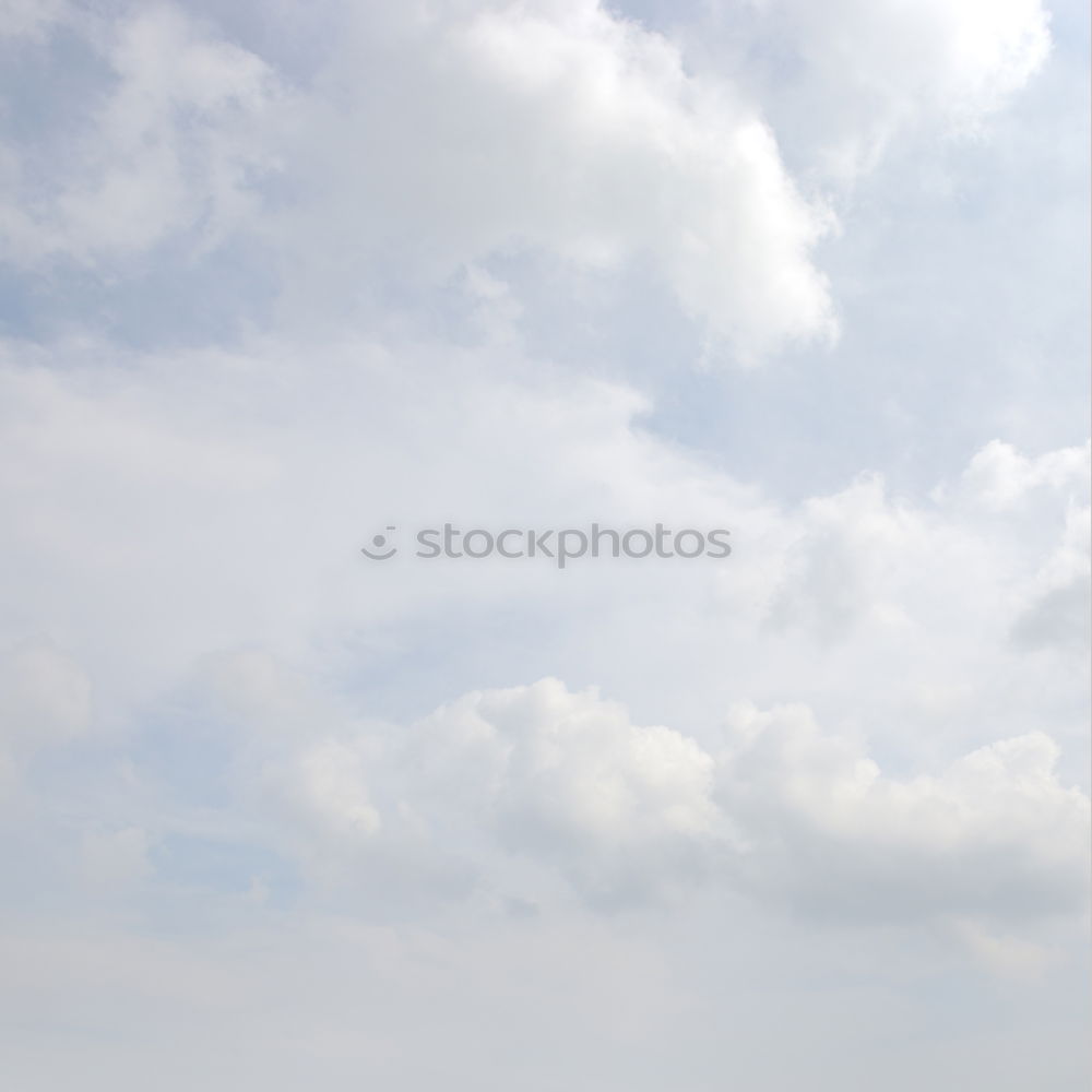 Similar – Image, Stock Photo green lung Environment