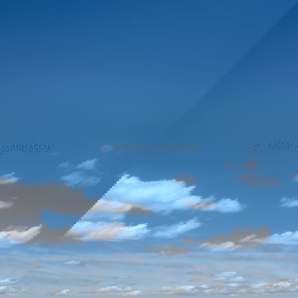 Similar – Image, Stock Photo Break at the mountain in the meadow