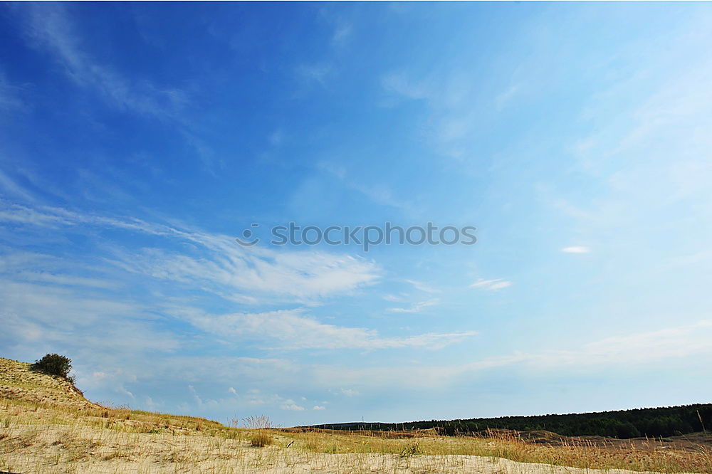 Similar – joshua tree wolken Natur