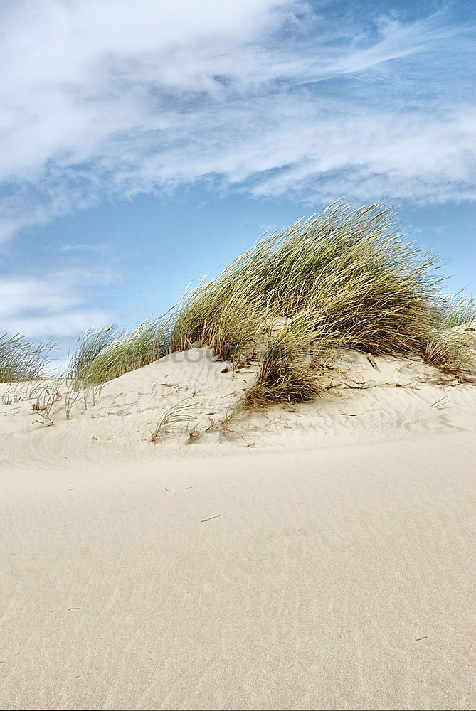 Similar – Image, Stock Photo Landscape in the dunes on the island of Amrum