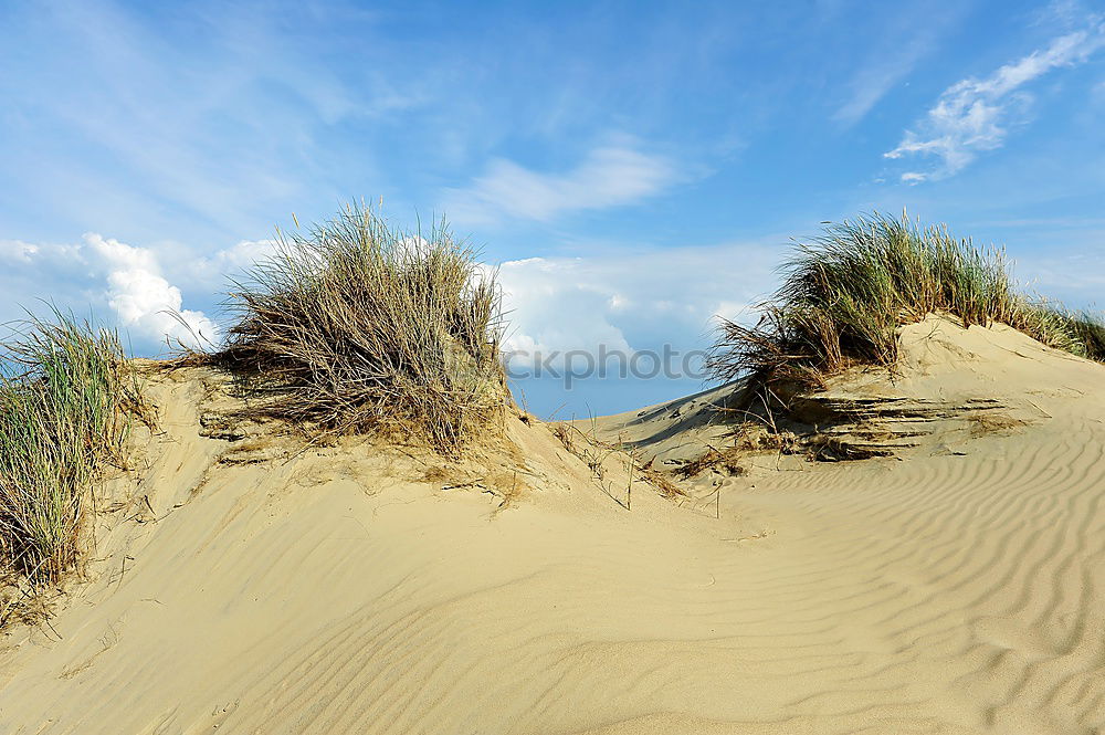 Similar – Image, Stock Photo Landscape in the dunes on the island of Amrum