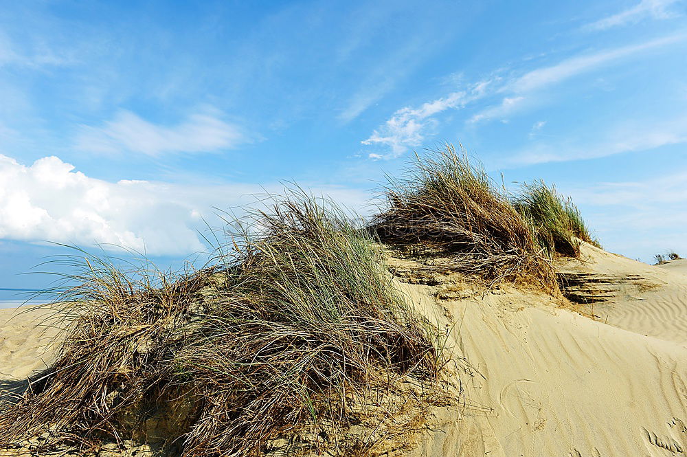 Similar – Boat in dune grass