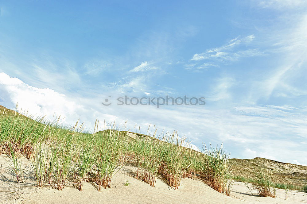 Similar – Image, Stock Photo in the dunes .. Ocean