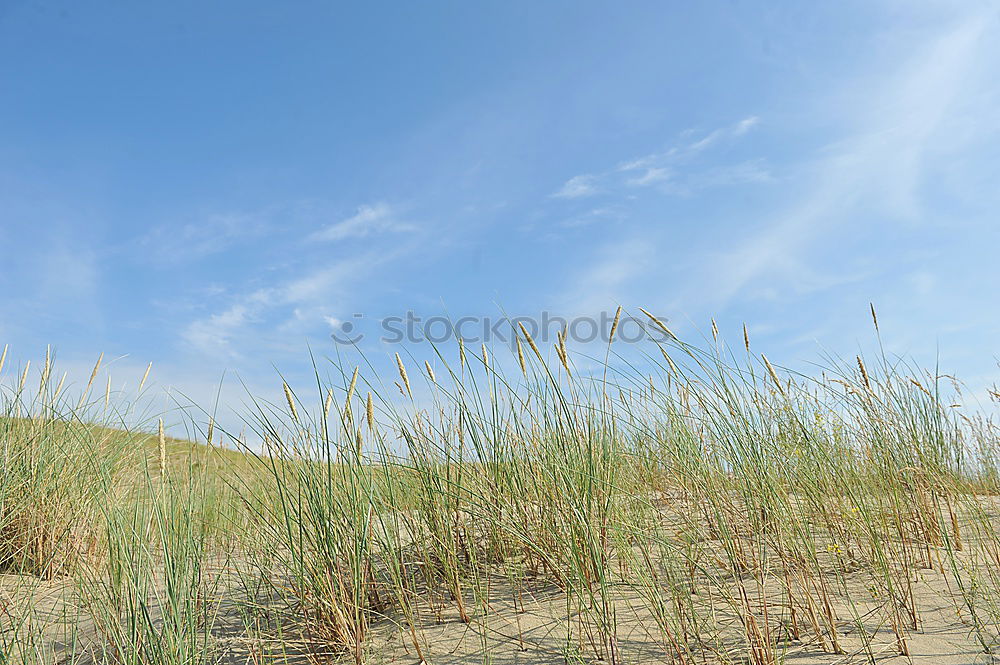 Similar – Playa de Valdoviño (España)