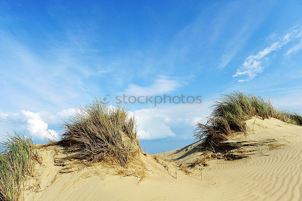 Similar – Image, Stock Photo Landscape in the dunes on the island of Amrum