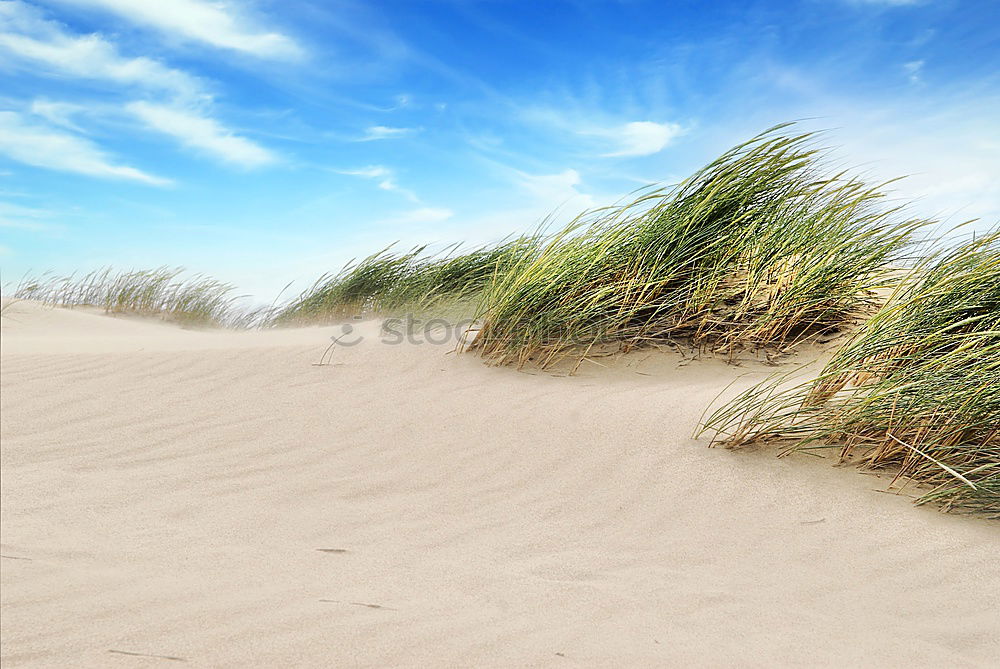 Image, Stock Photo Landscape in the dunes on the island of Amrum