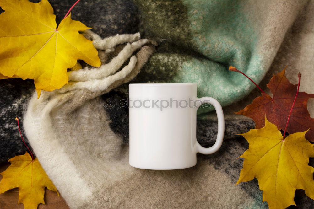 Image, Stock Photo cozy autumn morning at country house