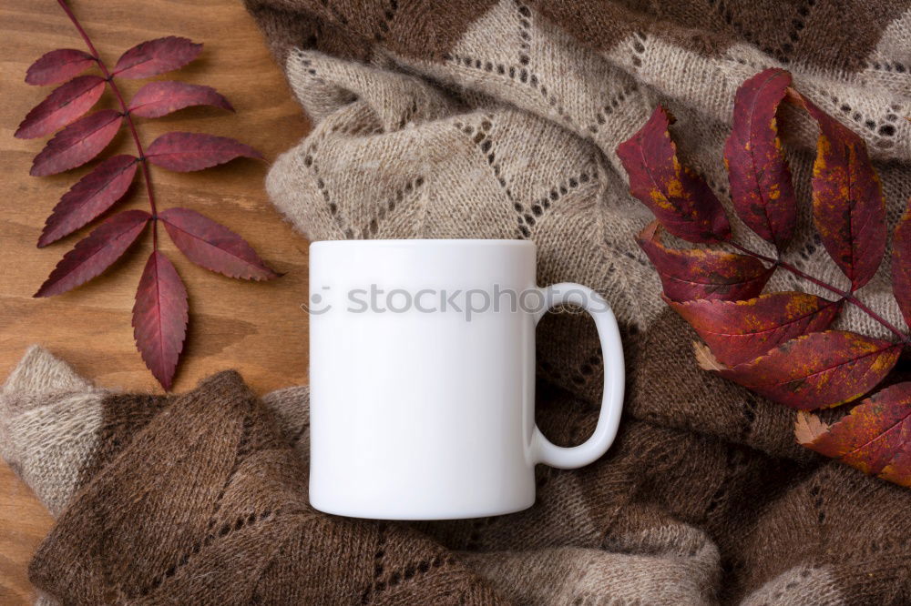 Similar – Image, Stock Photo cup of tea, maple leaves, key with blank label, warm clothes