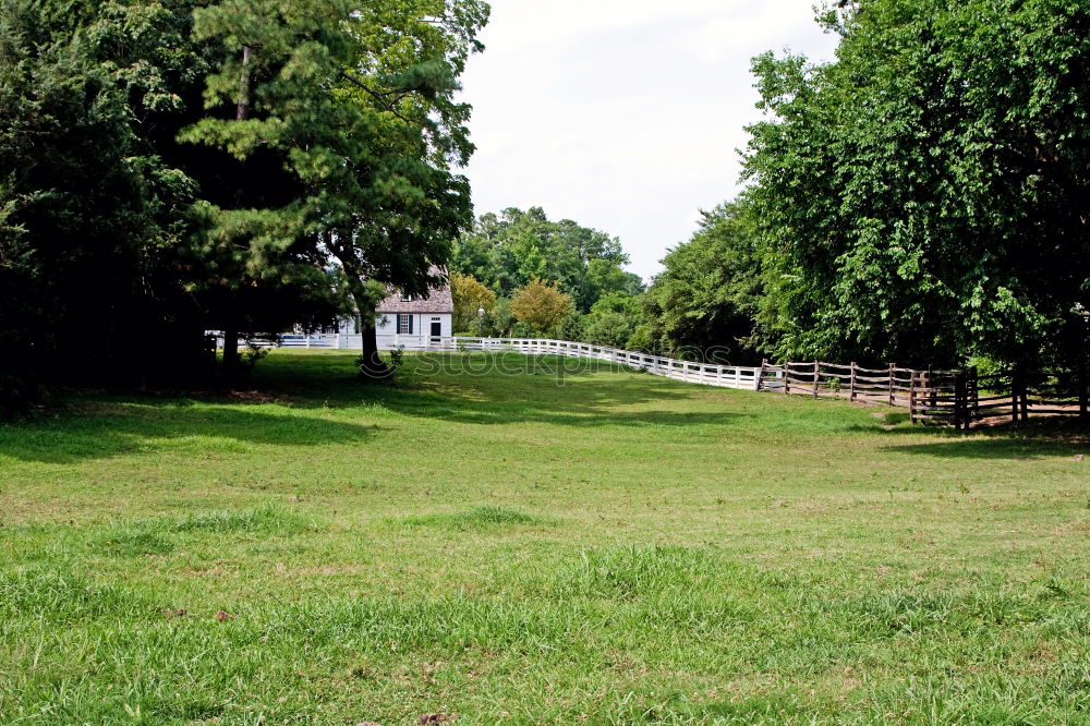 Similar – Foto Bild parking lane @ Hyde Park