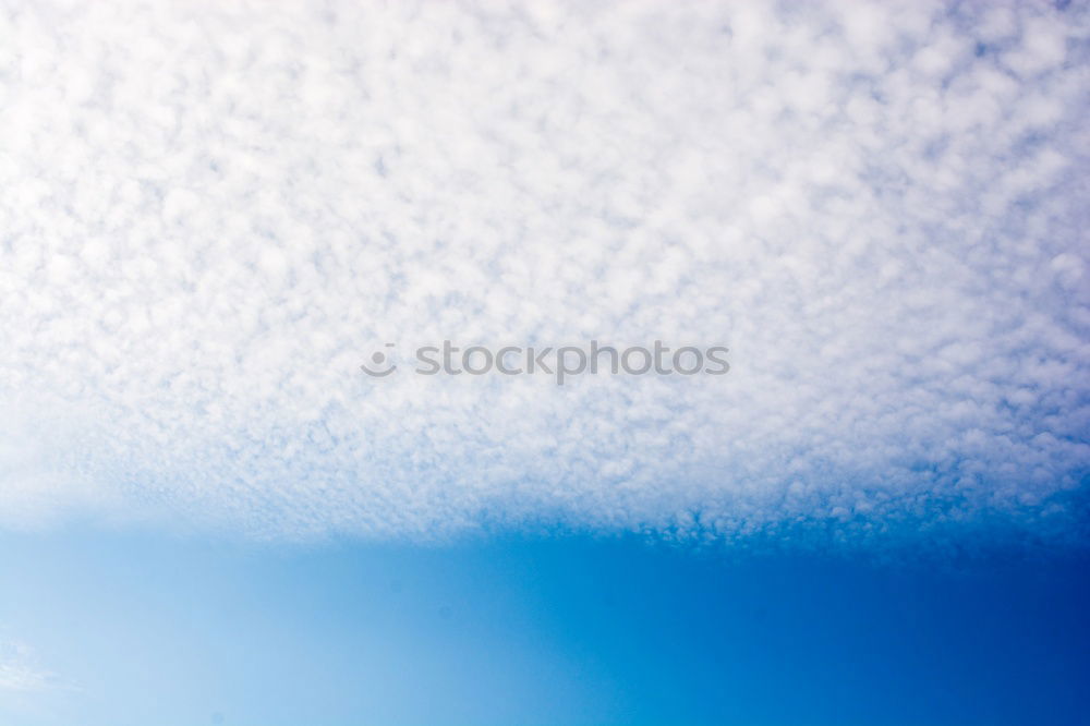 Similar – Dress warmly Sky Cold