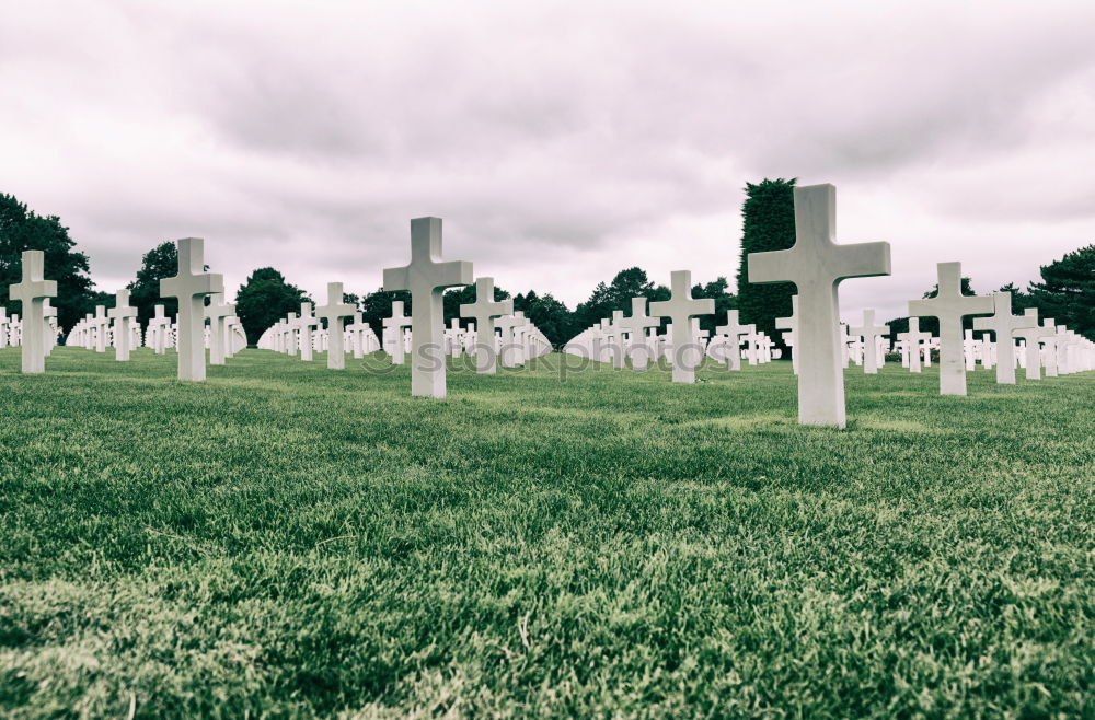 Similar – war graves France